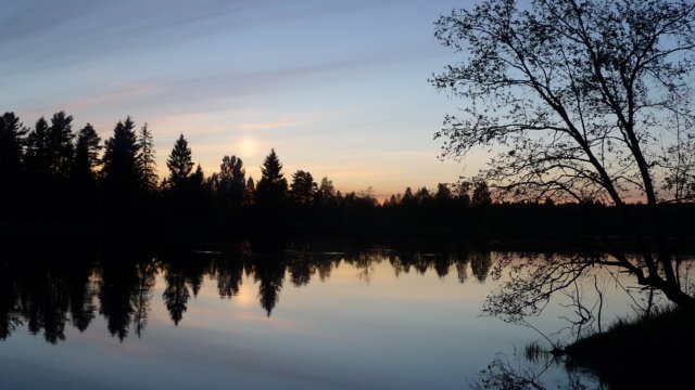zweden201311.jpg
