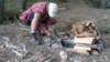 zwedenmei2014114_small.jpg