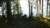 zwedenmei201440_small.jpg