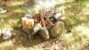zwedenmei201442_small.jpg