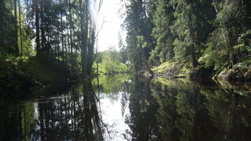 zweden2015179.jpg