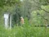 zweden200740_small.jpg