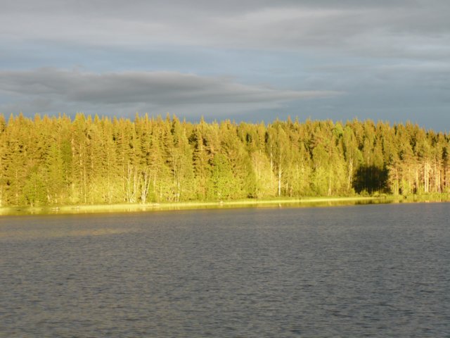 zweden200781.jpg