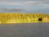 zweden200781_small.jpg