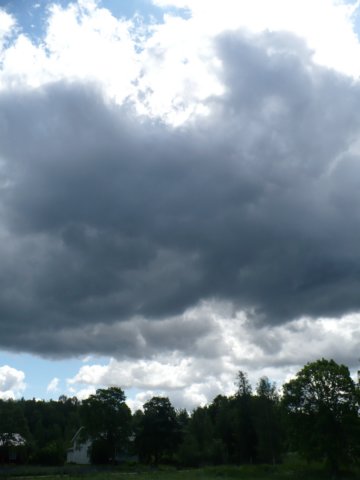zweden200790.jpg