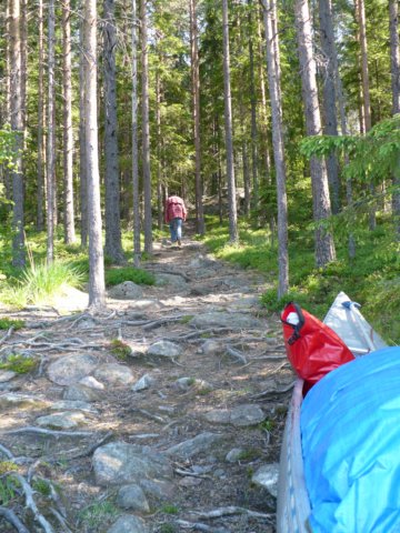 zweden200815.jpg