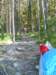 zweden200815_small.jpg