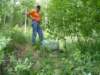 zweden200838_small.jpg