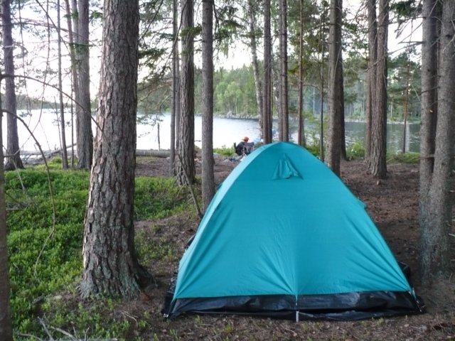 zweden200860.jpg