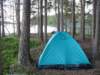 zweden200860_small.jpg