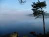 zweden200939_small.jpg