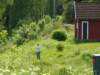 zweden200940_small.jpg