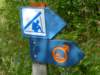 zweden200956_small.jpg