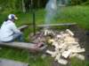 zweden200958_small.jpg
